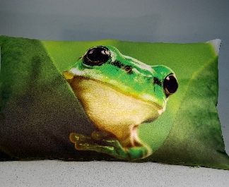Proflax Kissen 30x50 Froschmotiv