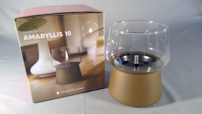 Tender Flame Amaryllis 10 Chocolate – Bild 3